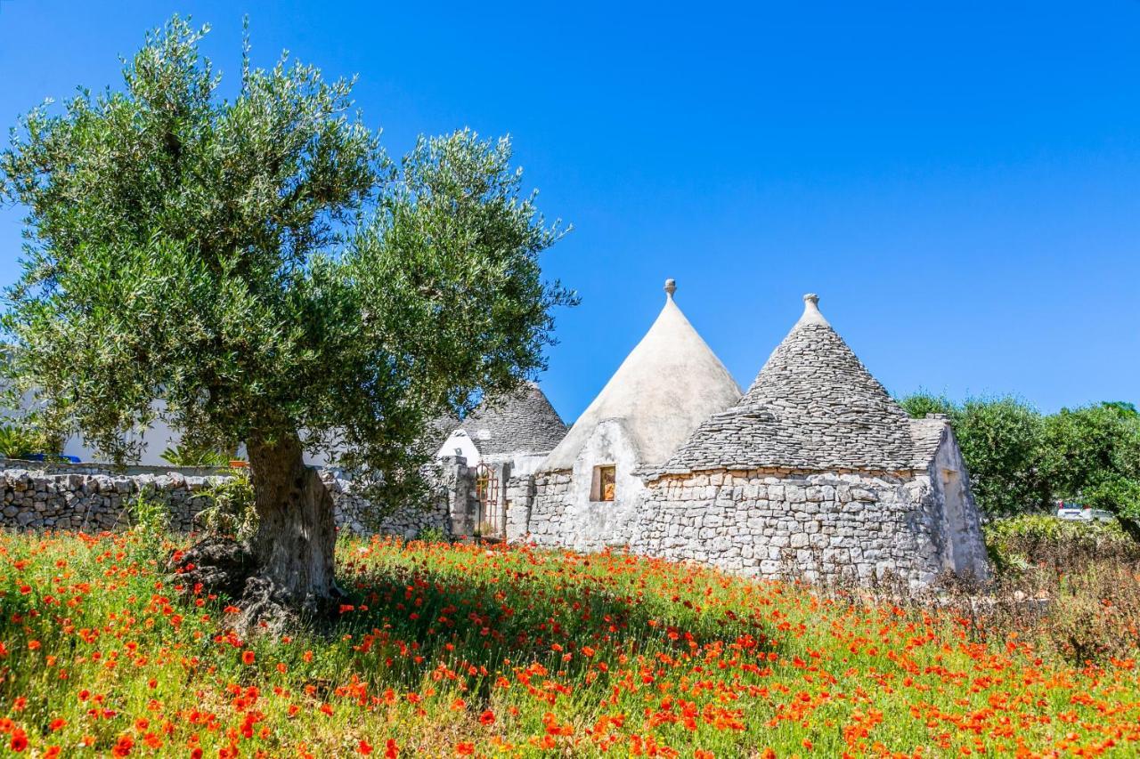 דירות Domus Otium Ostuni - Tiny House מראה חיצוני תמונה